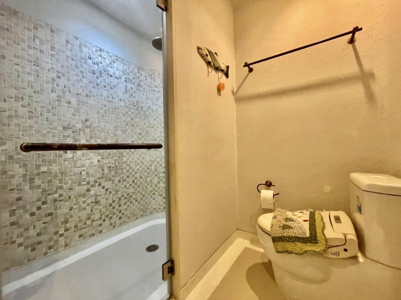 A bathroom with a mosaic tile shower wall, a toilet with a tissue holder, and a towel rack.