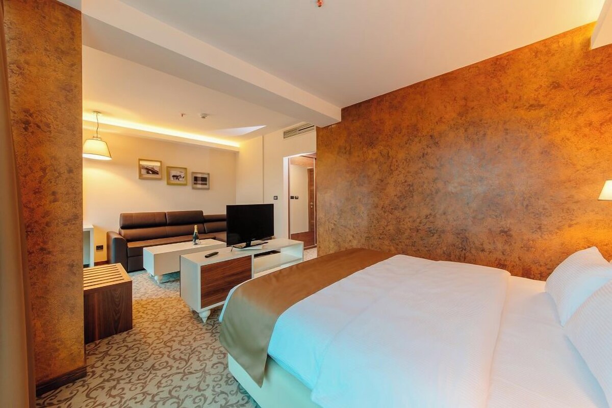 A hotel room with a bed, a sofa, a television, and a desk.