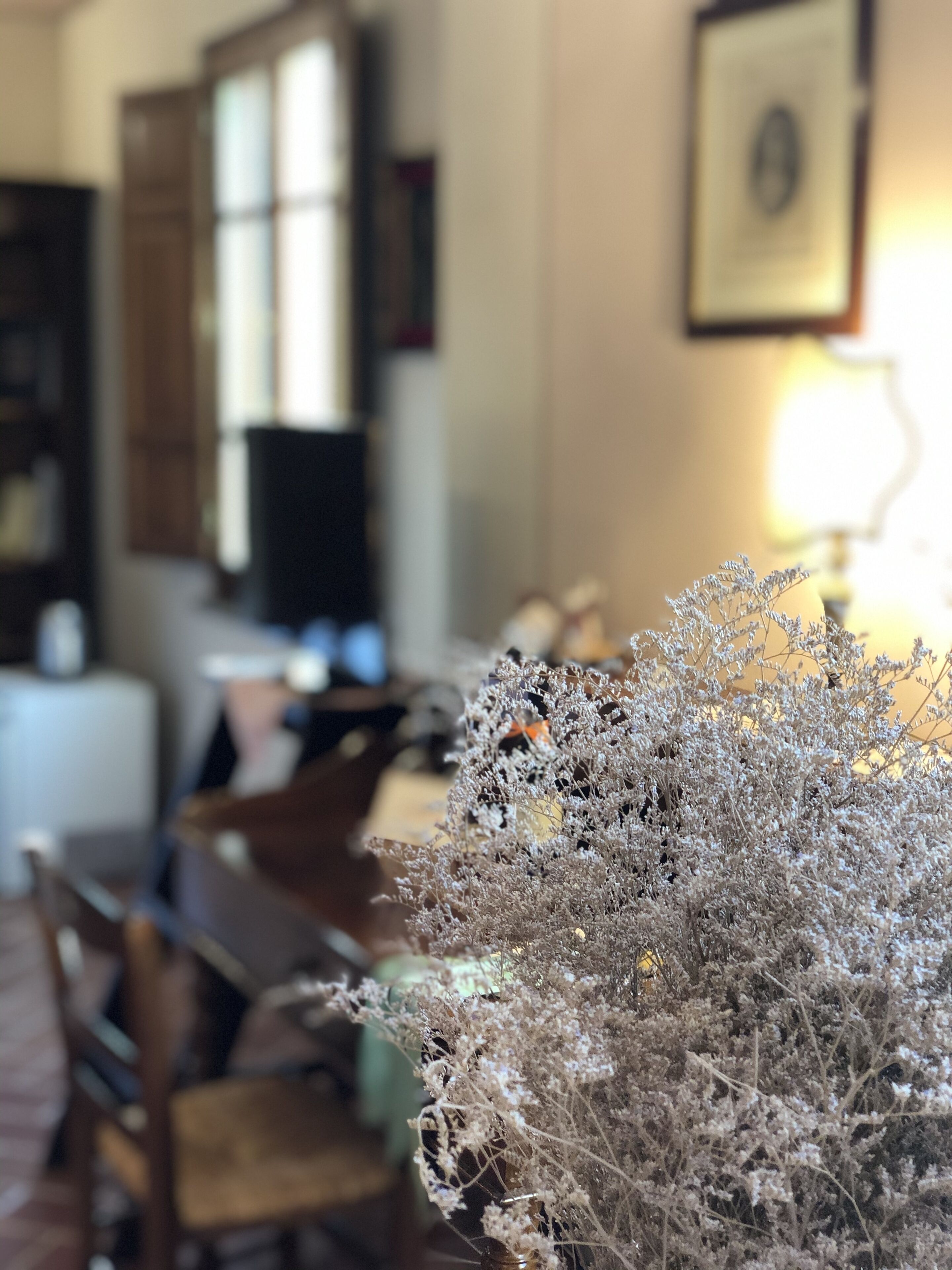 Una habitación con una mesa de comedor, sillas, una lámpara y una planta decorativa.