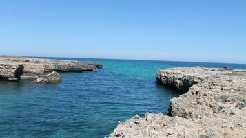 Nær stranden og buss til stranden (inkludert)