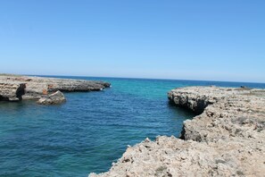 在海灘附近、免費海灘接駁車