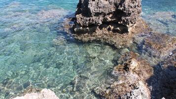 Beach nearby, free beach shuttle