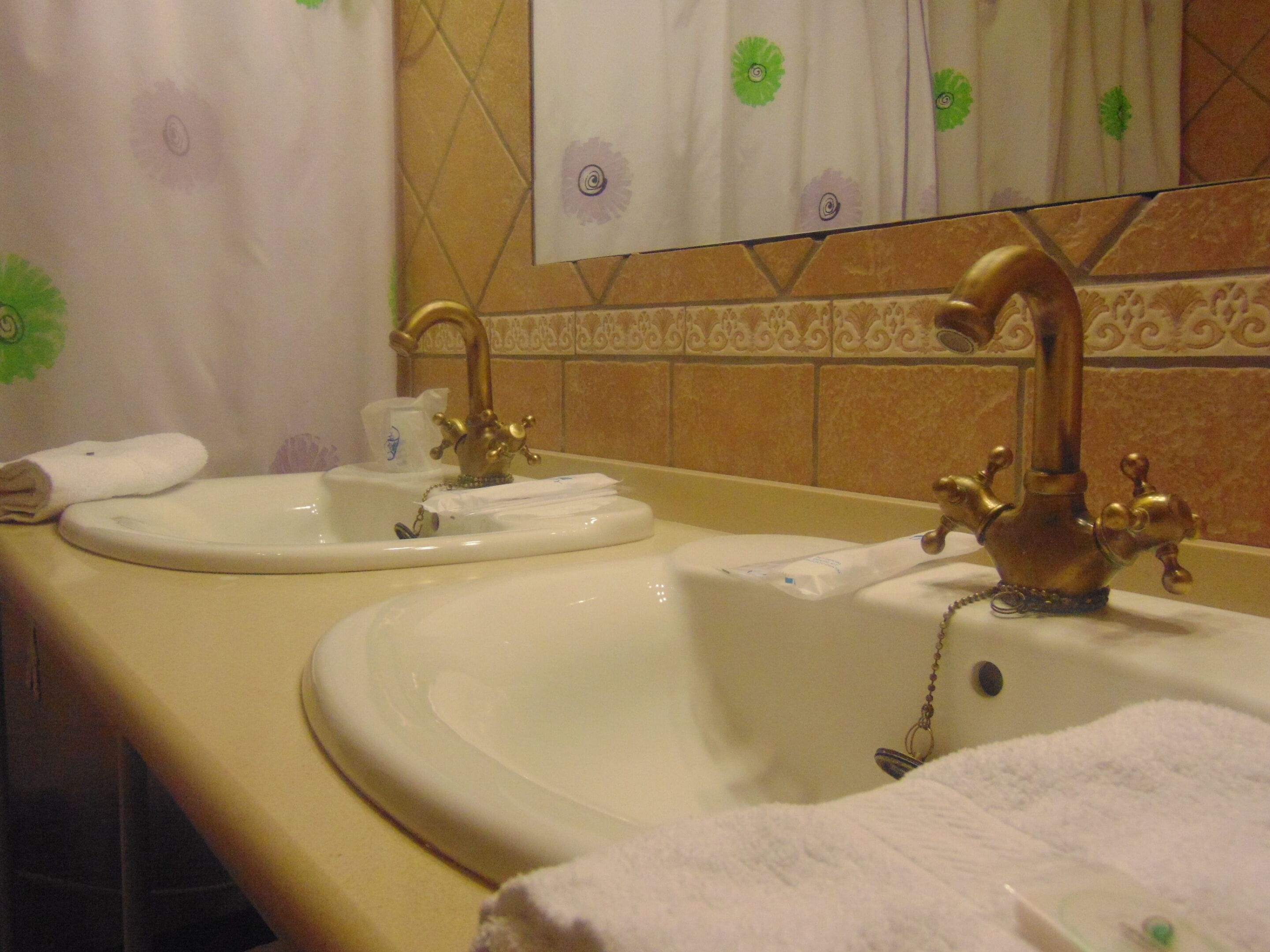 double or twin room, private bathroom, mountain view | bathroom