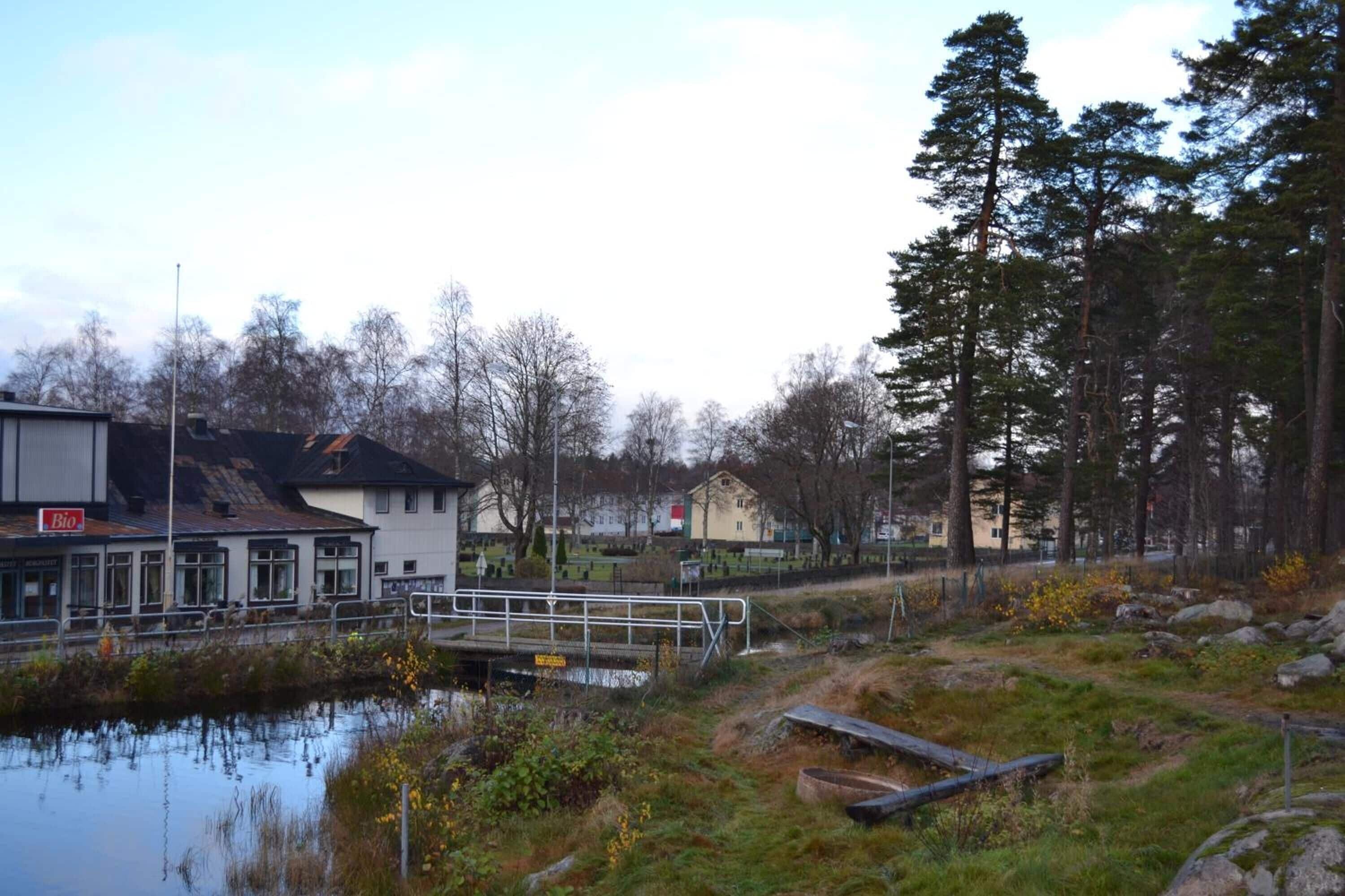 A riverside area with a bridge, buildings, and trees.