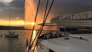 Paseos en barco