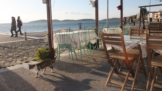 A seaside café with outdoor seating, a cobblestone path, and a view of the sea. - Foca Kumsal Hotel (Foça)