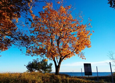 Pomarańczowa Plaża