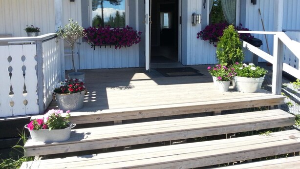En träveranda med trappsteg som leder till en dörr, omgiven av krukväxter och ett räcke.