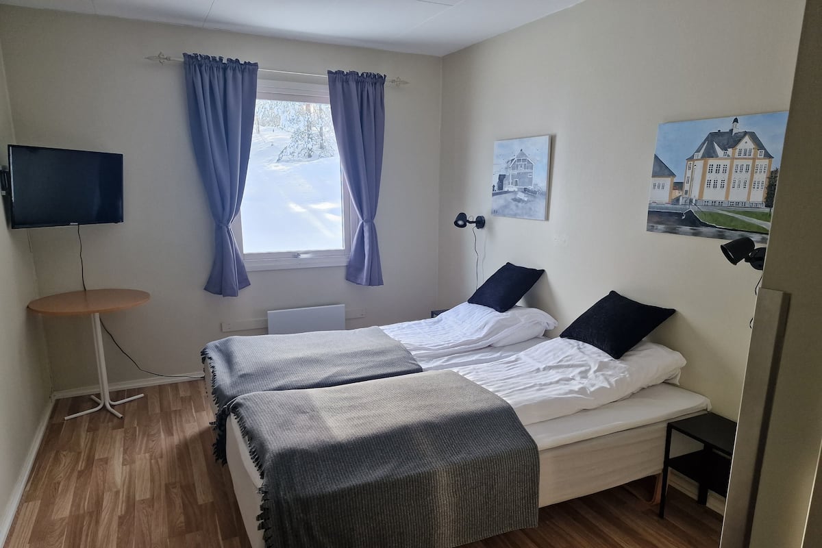 A bedroom with two beds, a desk, a TV, and a window with curtains.
