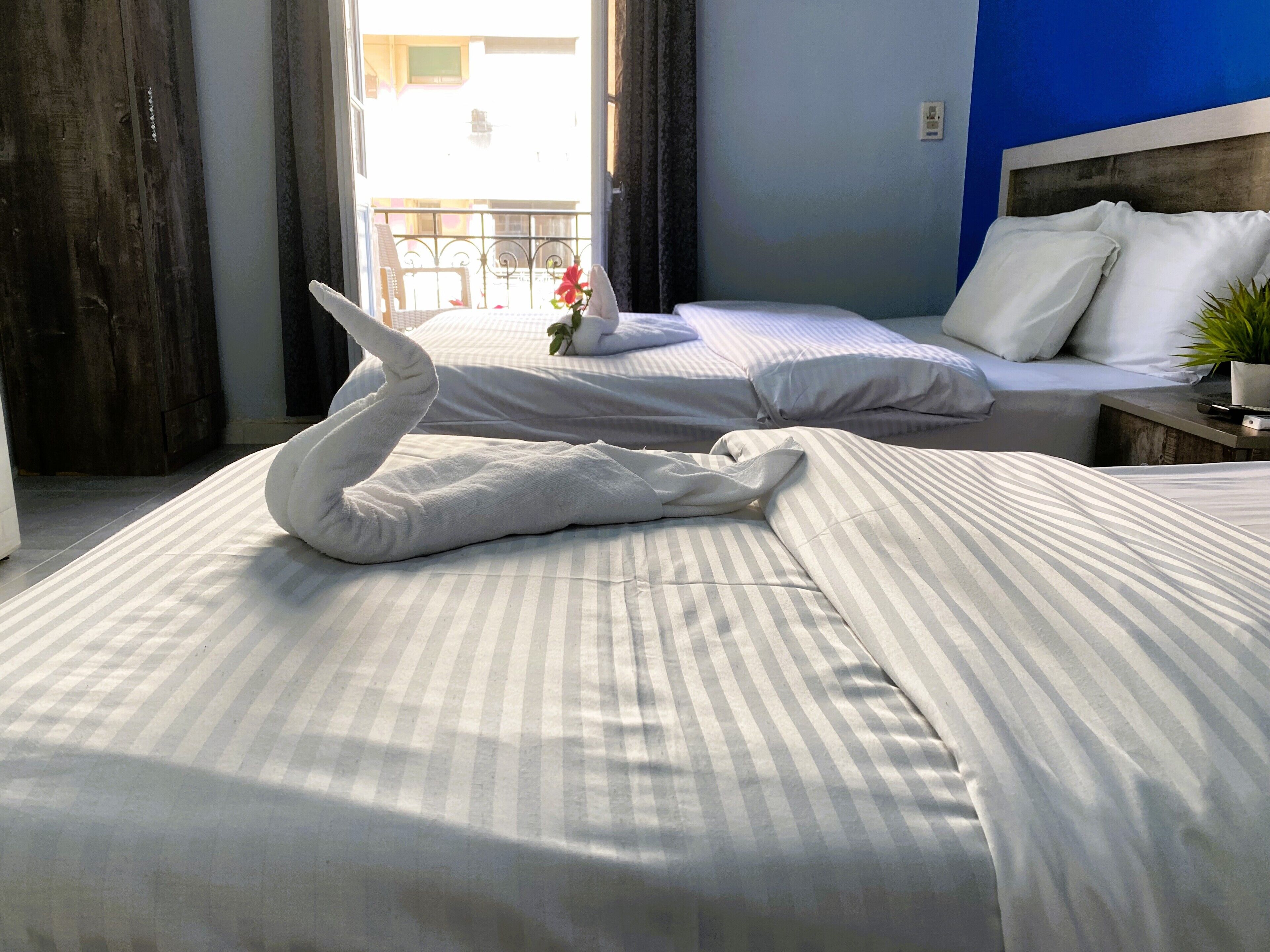 Photo - The Australian Hostel
