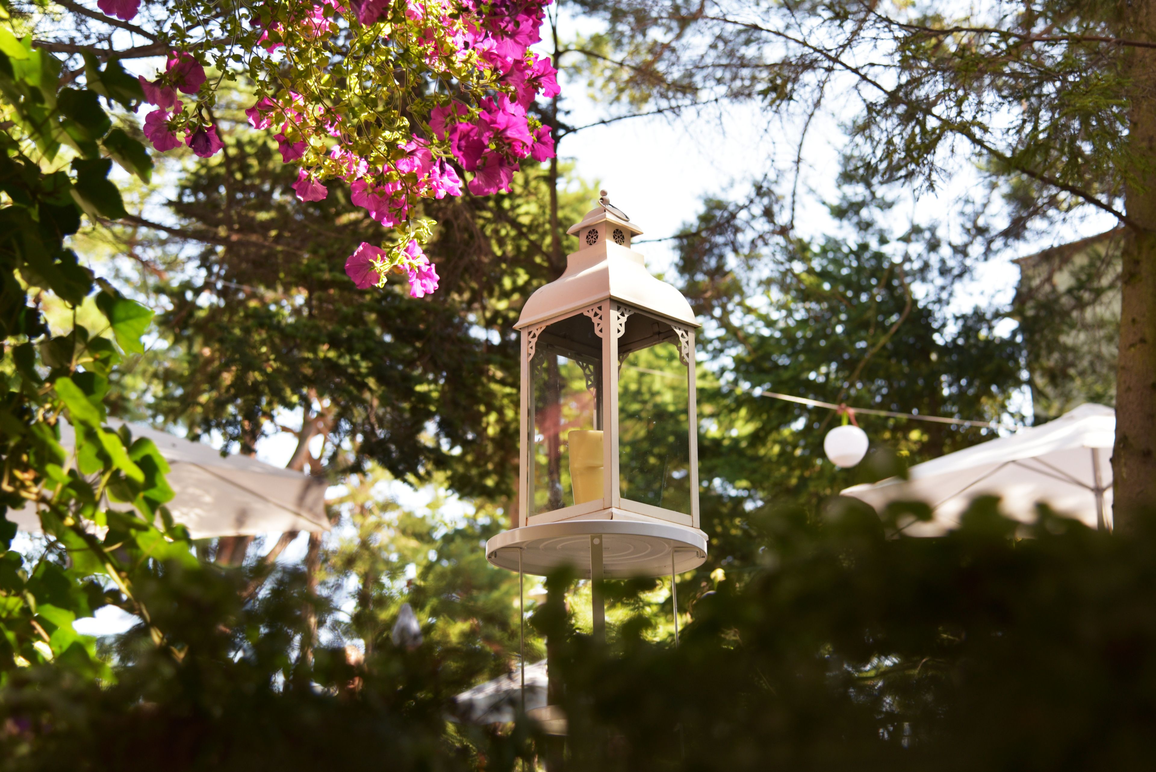 Foto - Villa Flaming