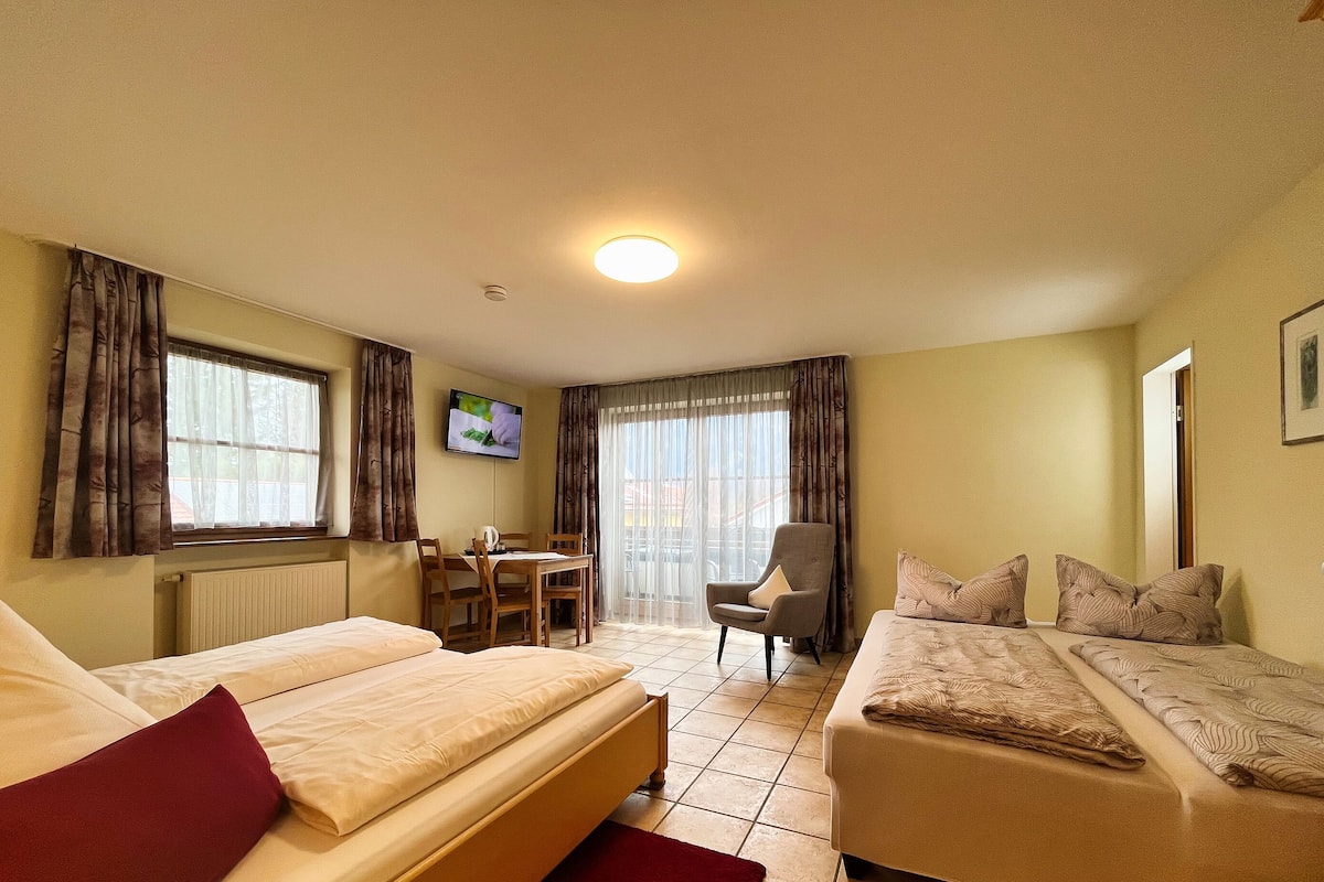 Comfort Double Room, 1 King Bed with Sofa bed, Non Smoking