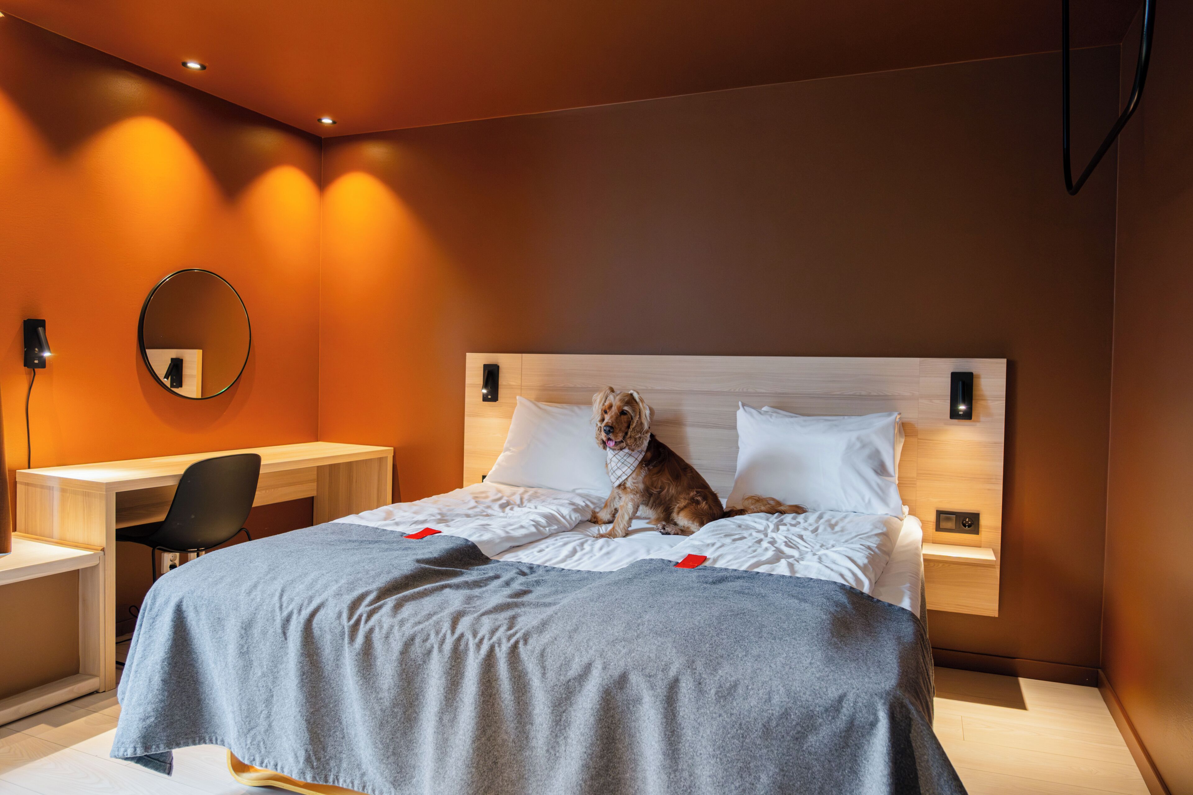 A modern hotel room with a bed, bedside table, chair, and a round mirror on the wall.