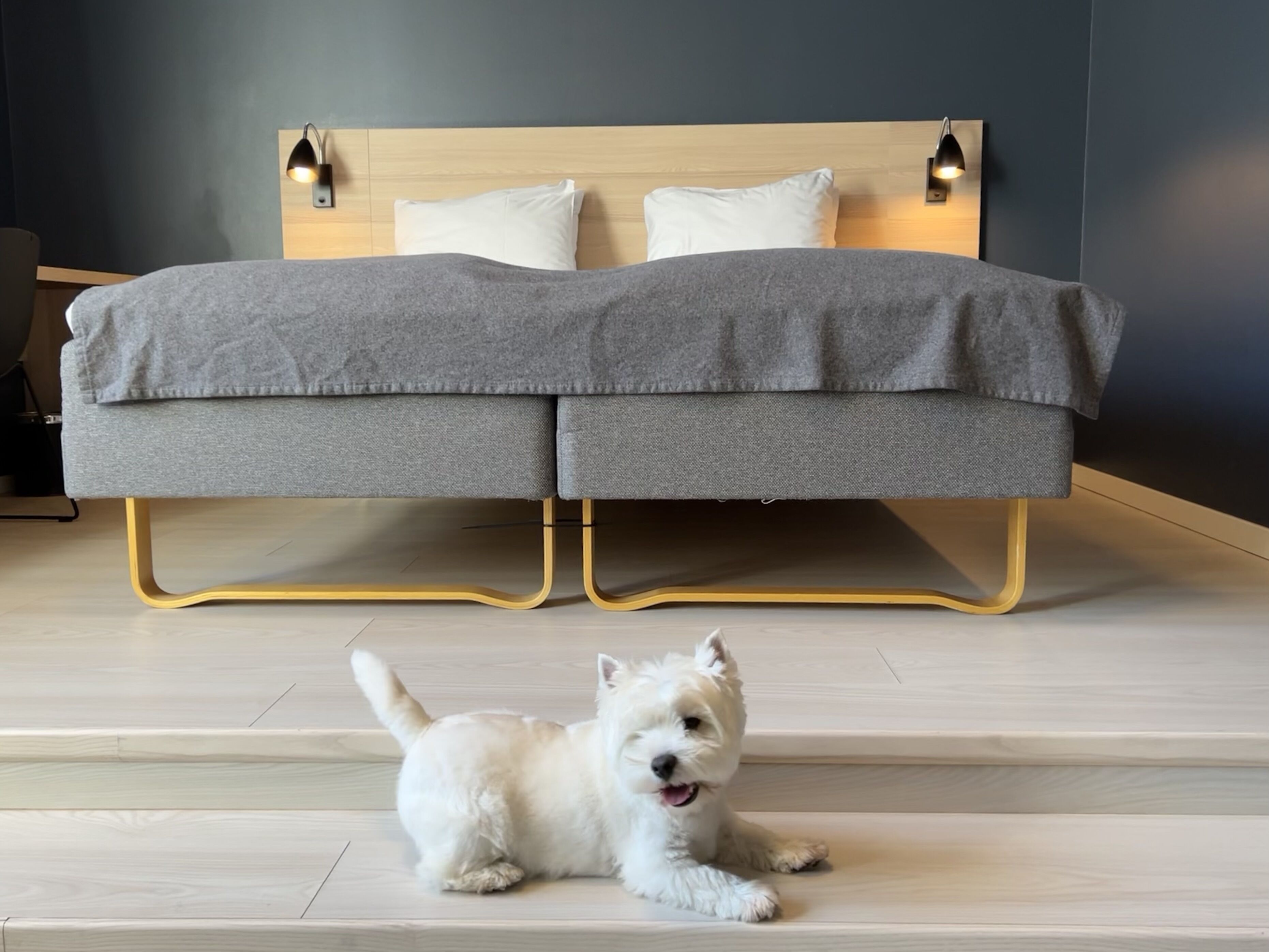 Foto - Citybox Bergen City