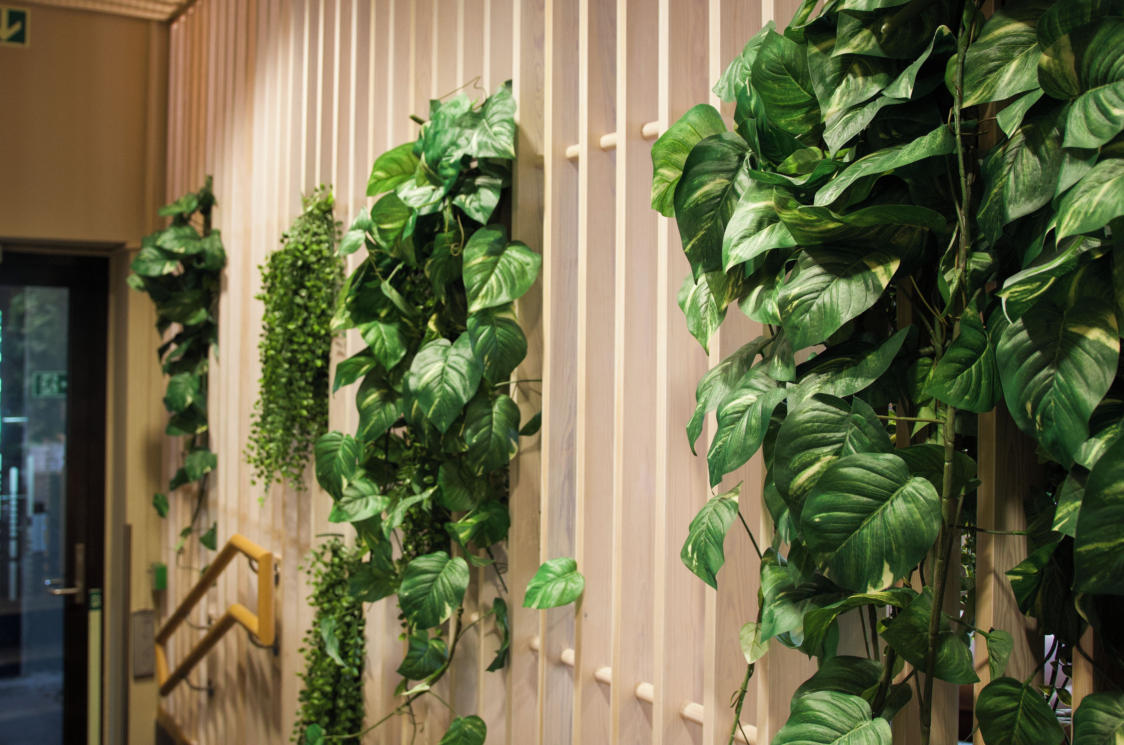 A wall with vertical plant installations.