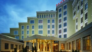 Unclassified image, 5 of 84, button - Ramada by Wyndham Almaty (Almaty)