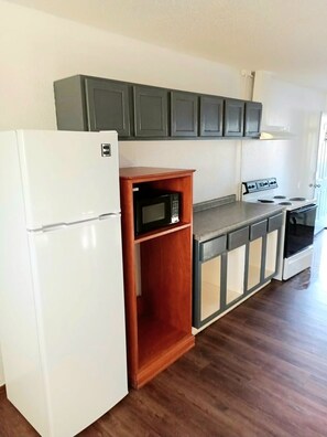 Deluxe Room, 1 Queen Bed with Sofa bed, Non Smoking, Kitchenette | Private kitchen