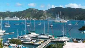 A marina with multiple boats docked, surrounded by hills and clear skies. - Fort Burt Hotel (Road Town)