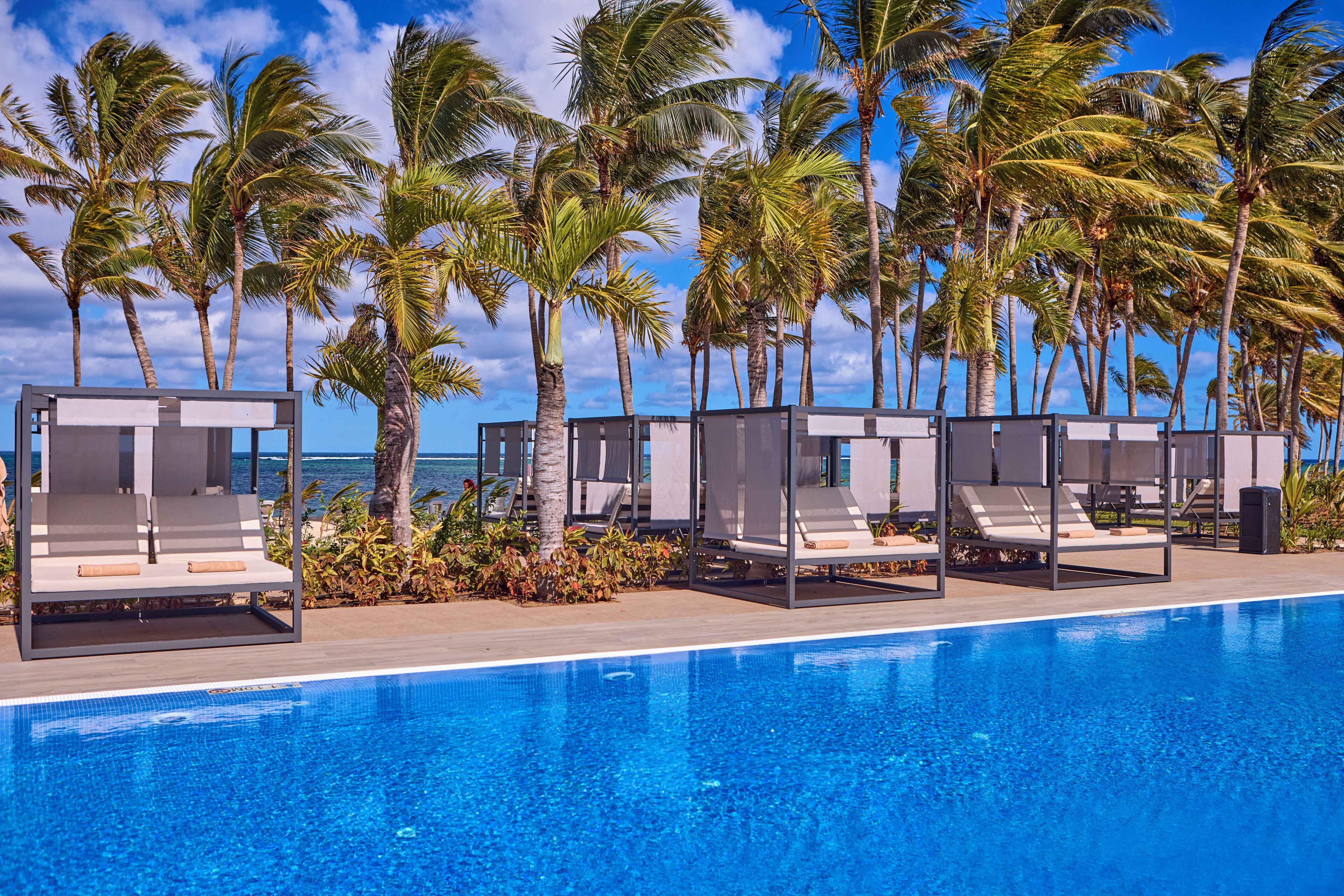 Zona junto a la piscina con sillones de descanso y palmeras, con vista a una piscina azul y cristalina.