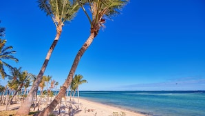 Une plage bordée de palmiers, sous un ciel bleu et dégagé.