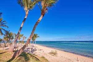 Una playa con palmeras y un cielo azul despejado.