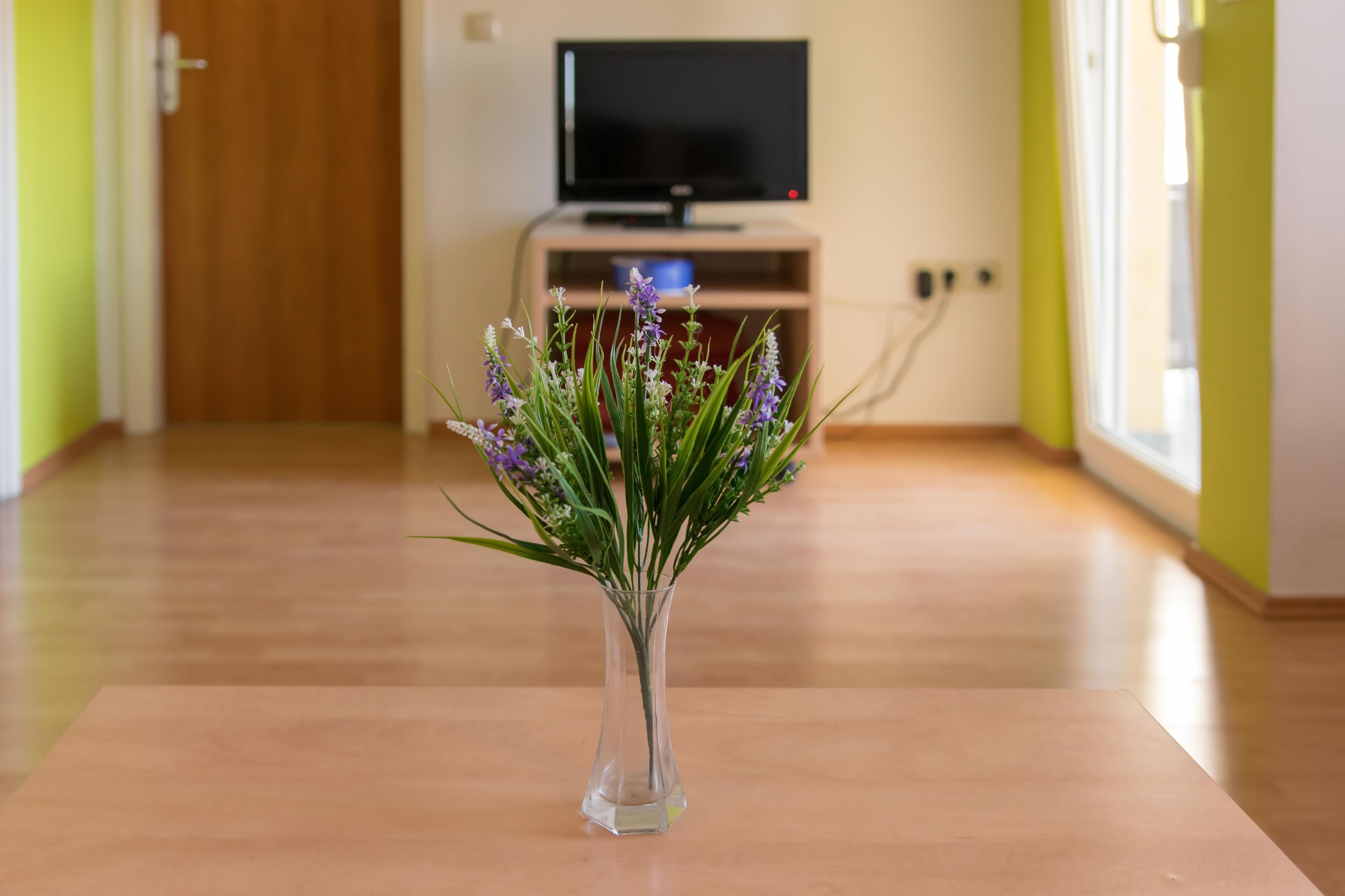 Foto - Guesthouse Villa Irena