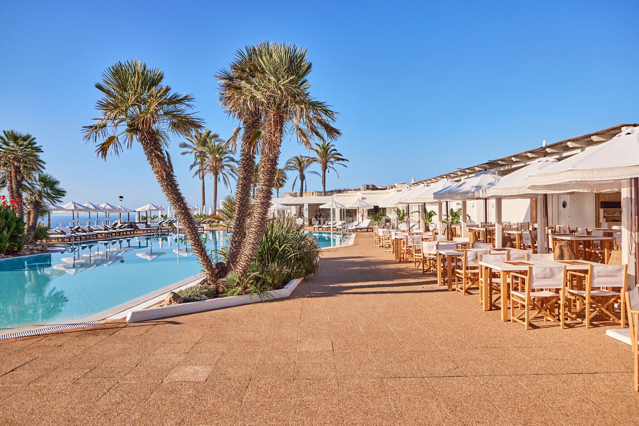 A resort pool area with sun loungers and umbrellas, surrounded by palm trees.