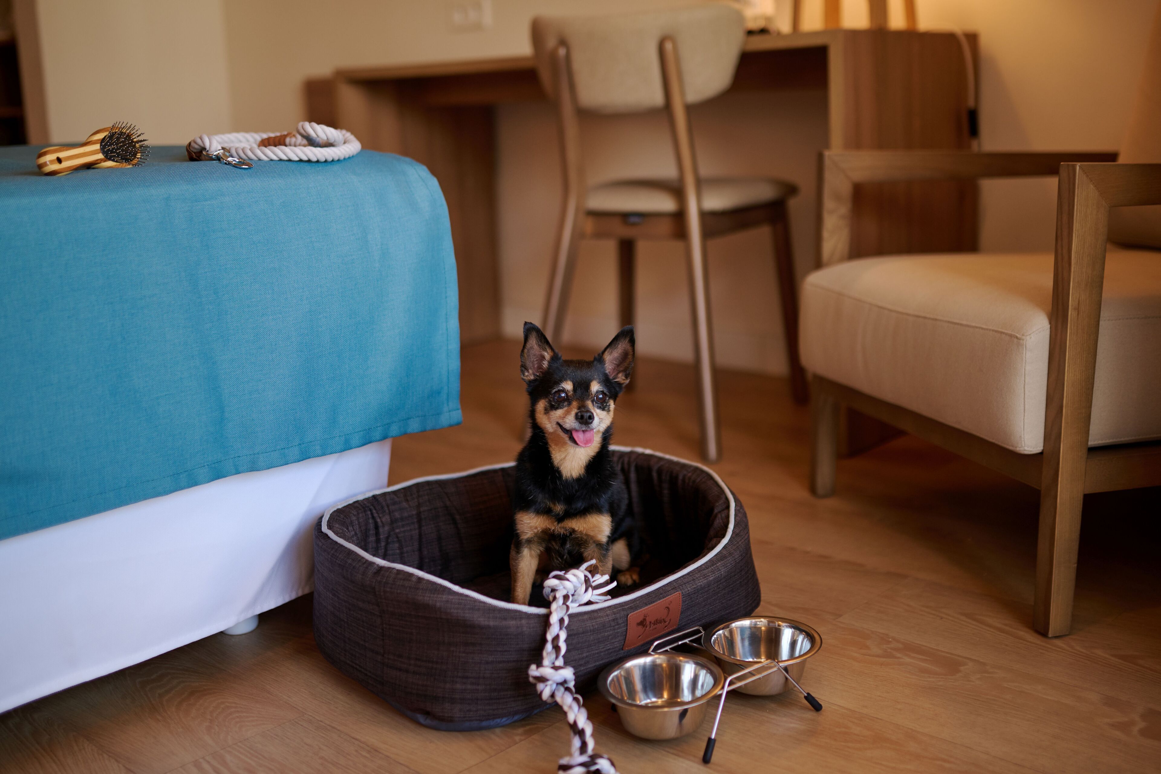 Photo - AluaSoul Menorca - Adults Only