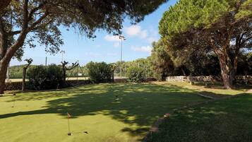 A golf course with a well-maintained green, trees, and a stone wall in the background.