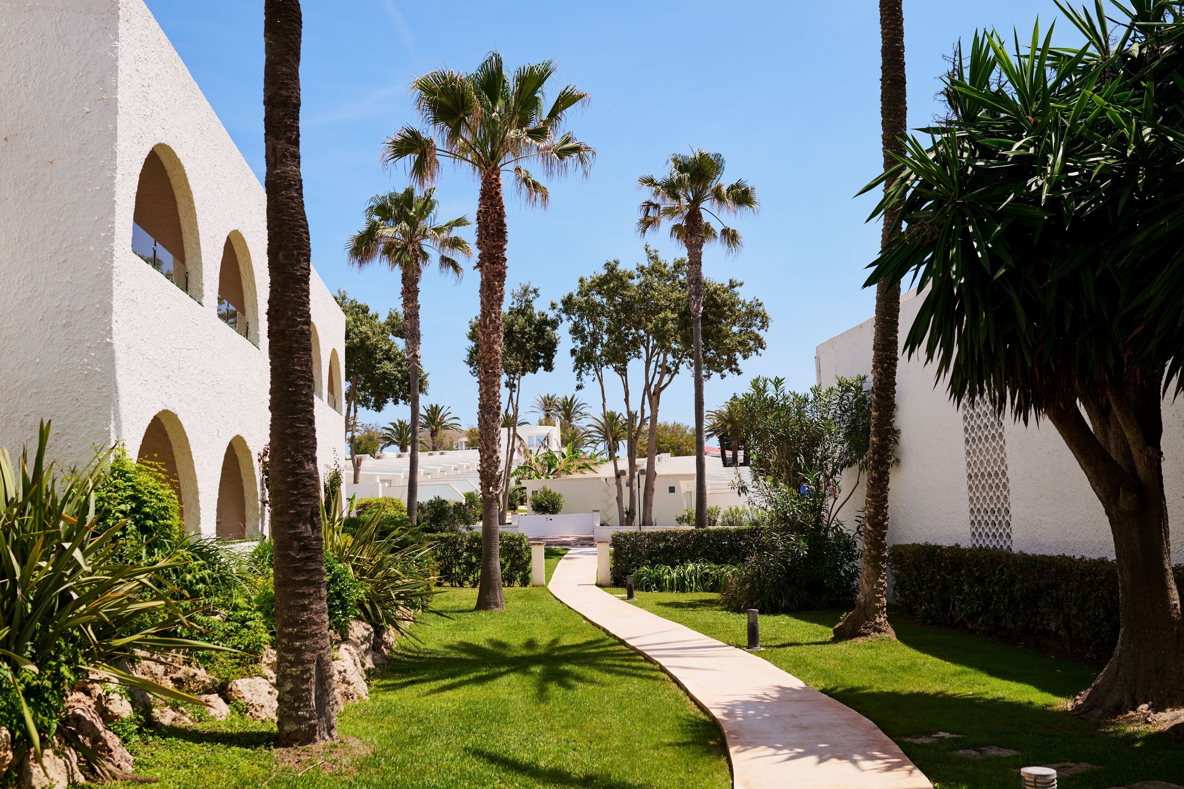 A pathway leading to a building with arched windows, surrounded by palm trees and greenery.