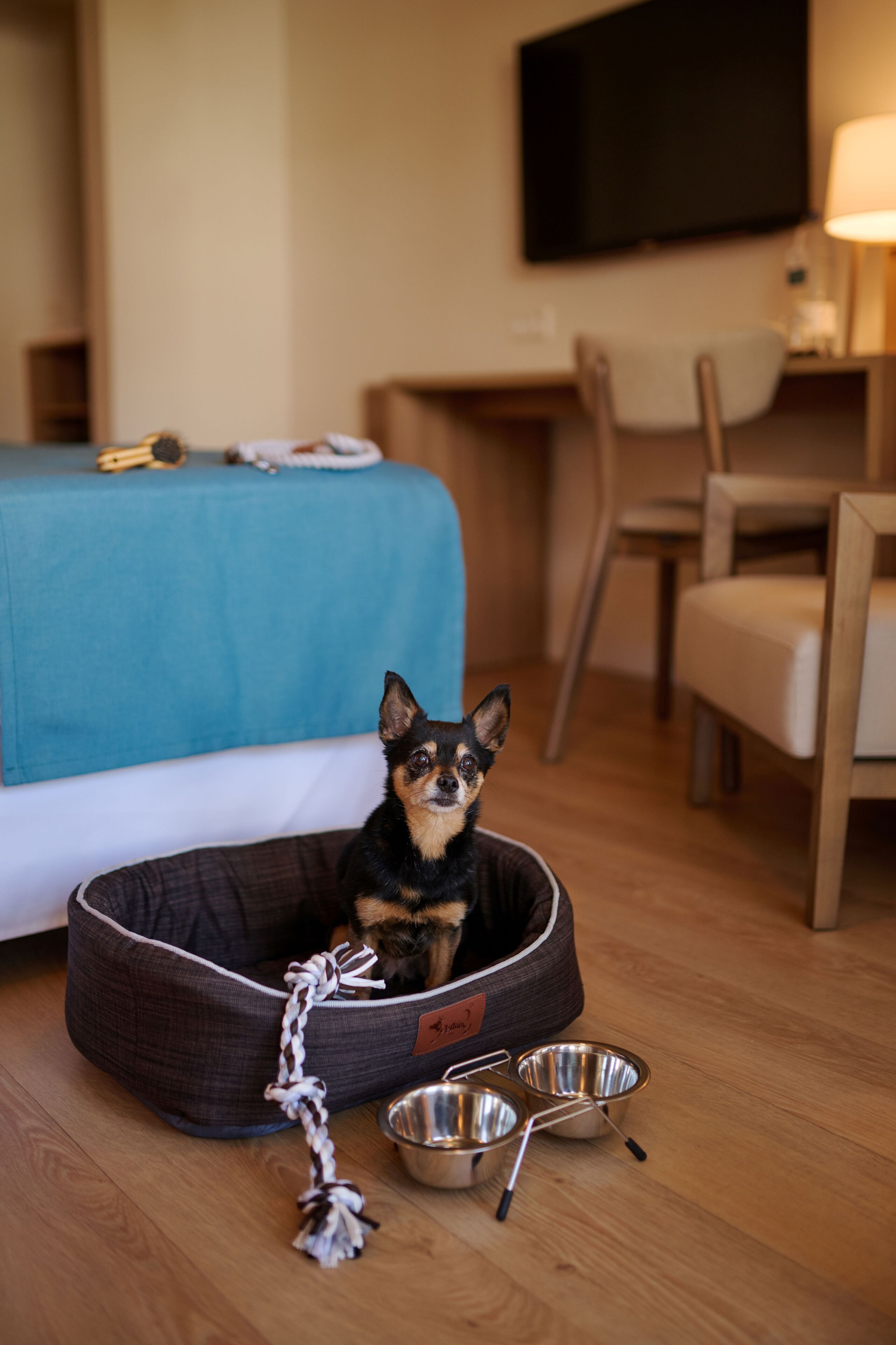 Photo - AluaSoul Menorca - Adults Only