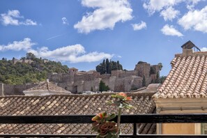 Vista desde la propiedad