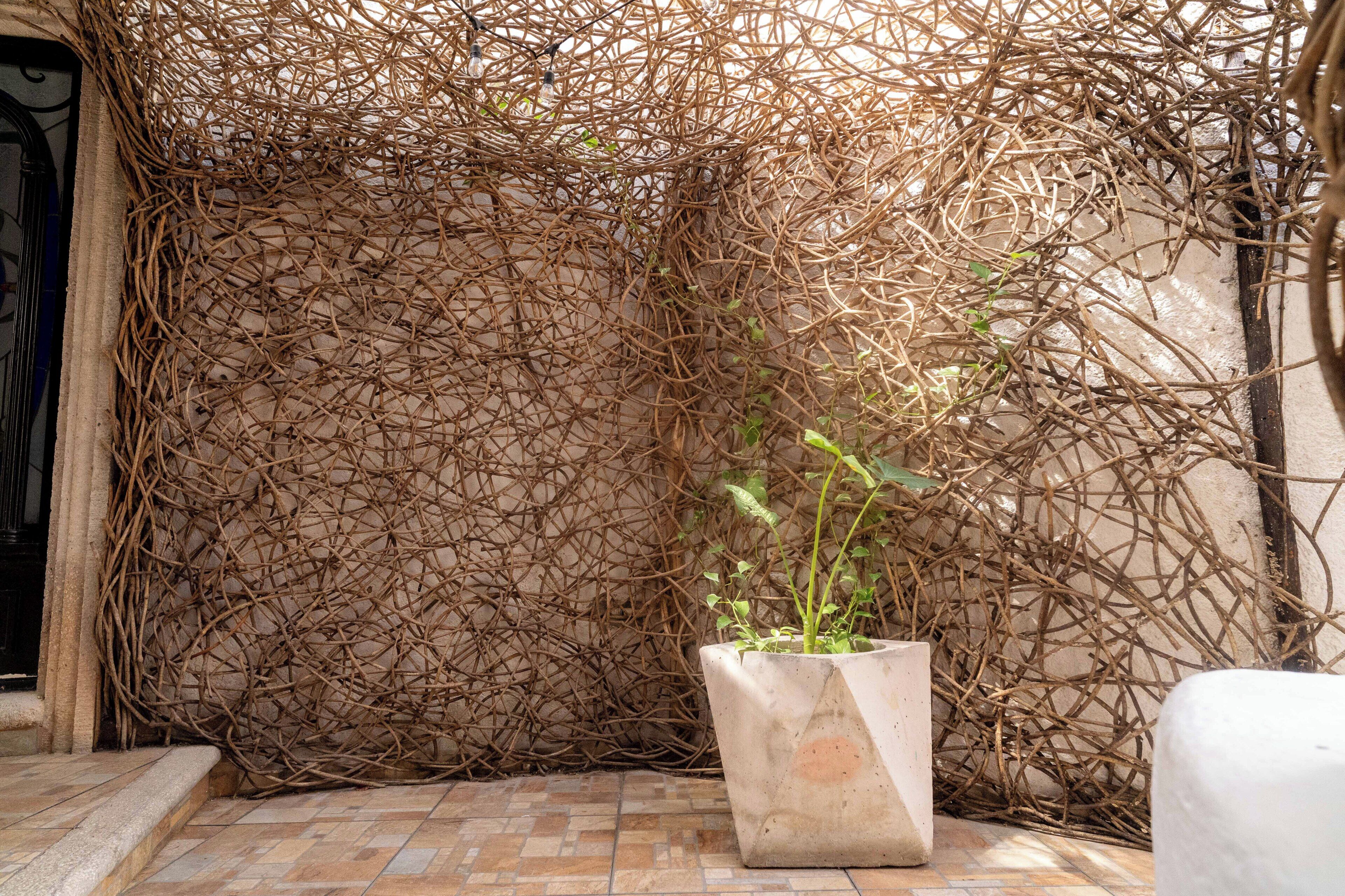 Photo - Mezcal Boutique Hotel
