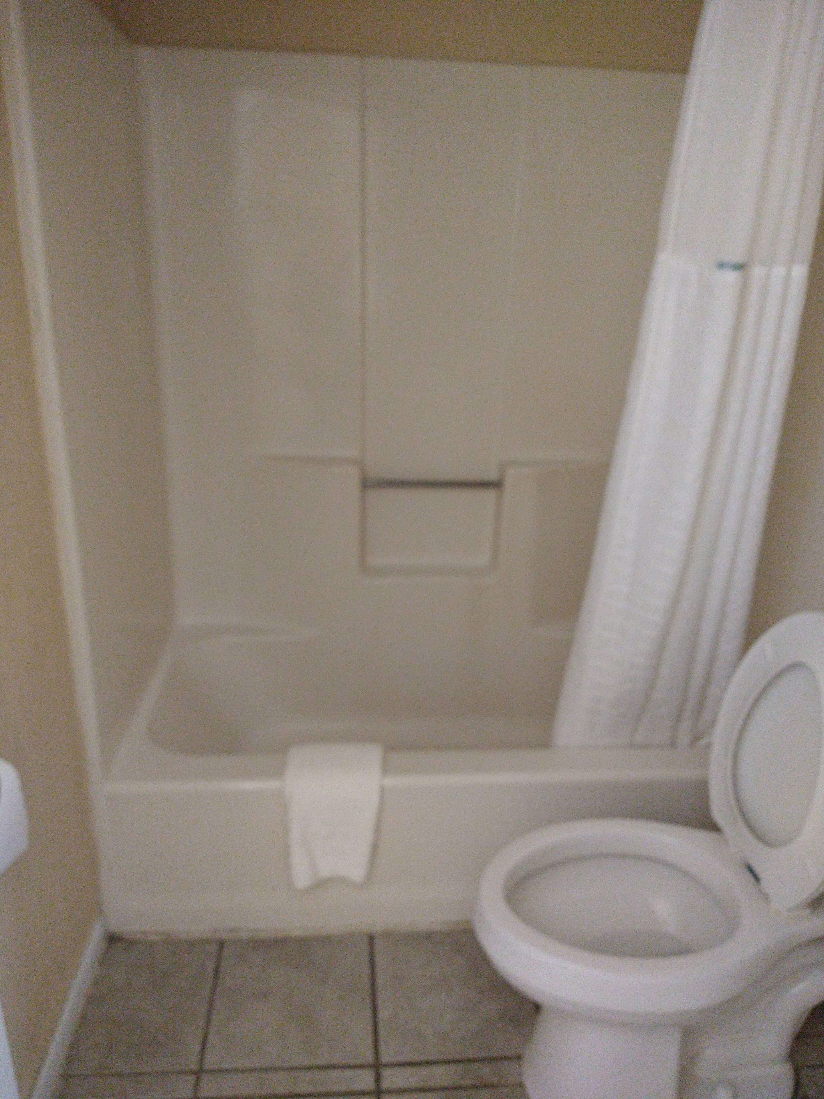 A bathroom with a toilet and a bathtub.