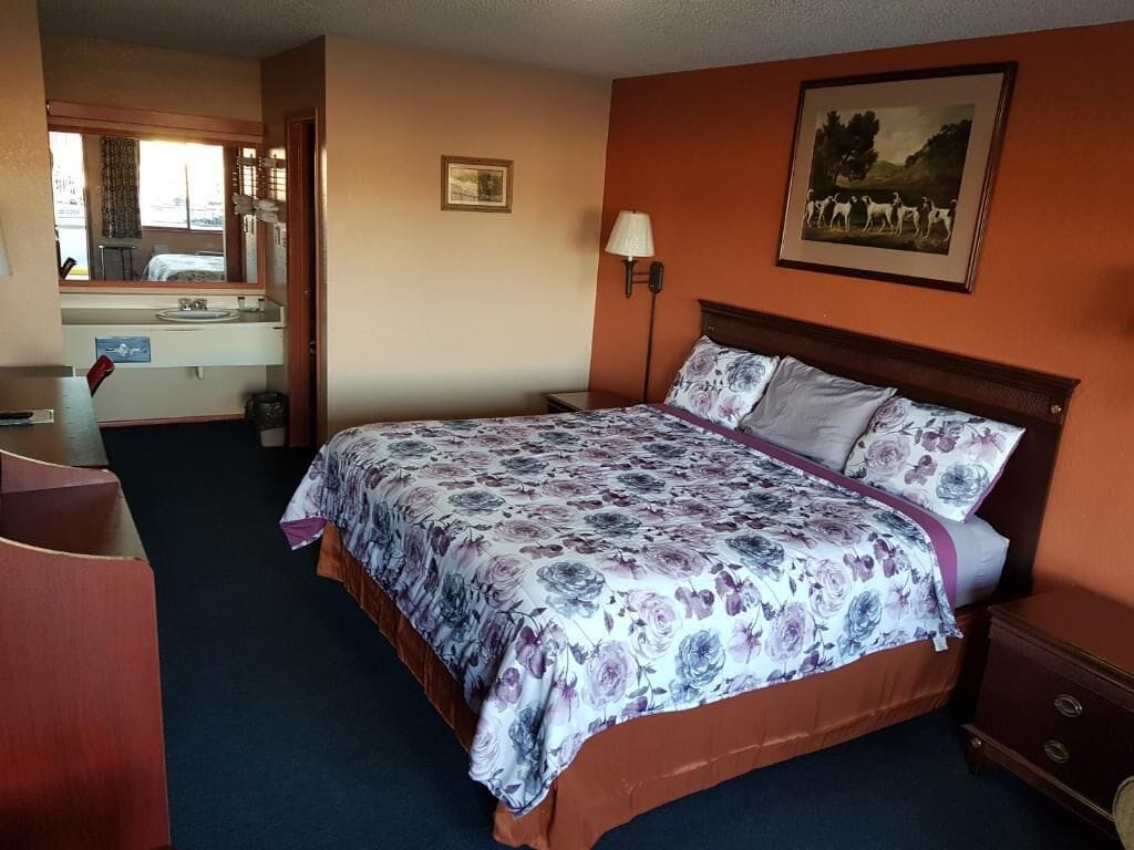 Habitació d'hotel amb un llit, un escriptori, un mirall, un lavabo i un quadre al mur.