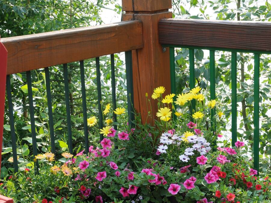 A wooden deck with a railing, a large planter with various flowers, and a view of trees and a body of water in the background.