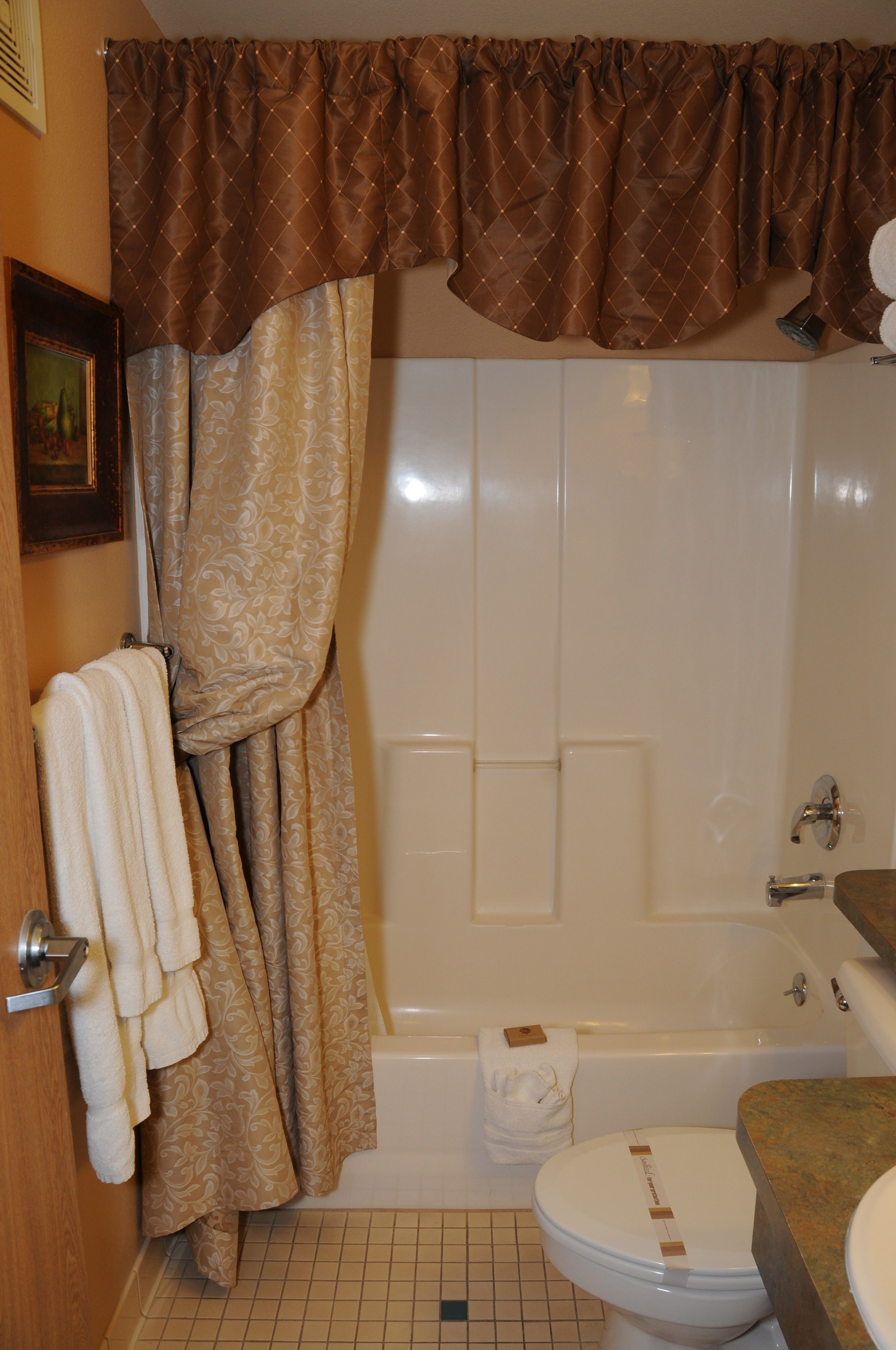 combined shower/bathtub, free toiletries, hair dryer, towels