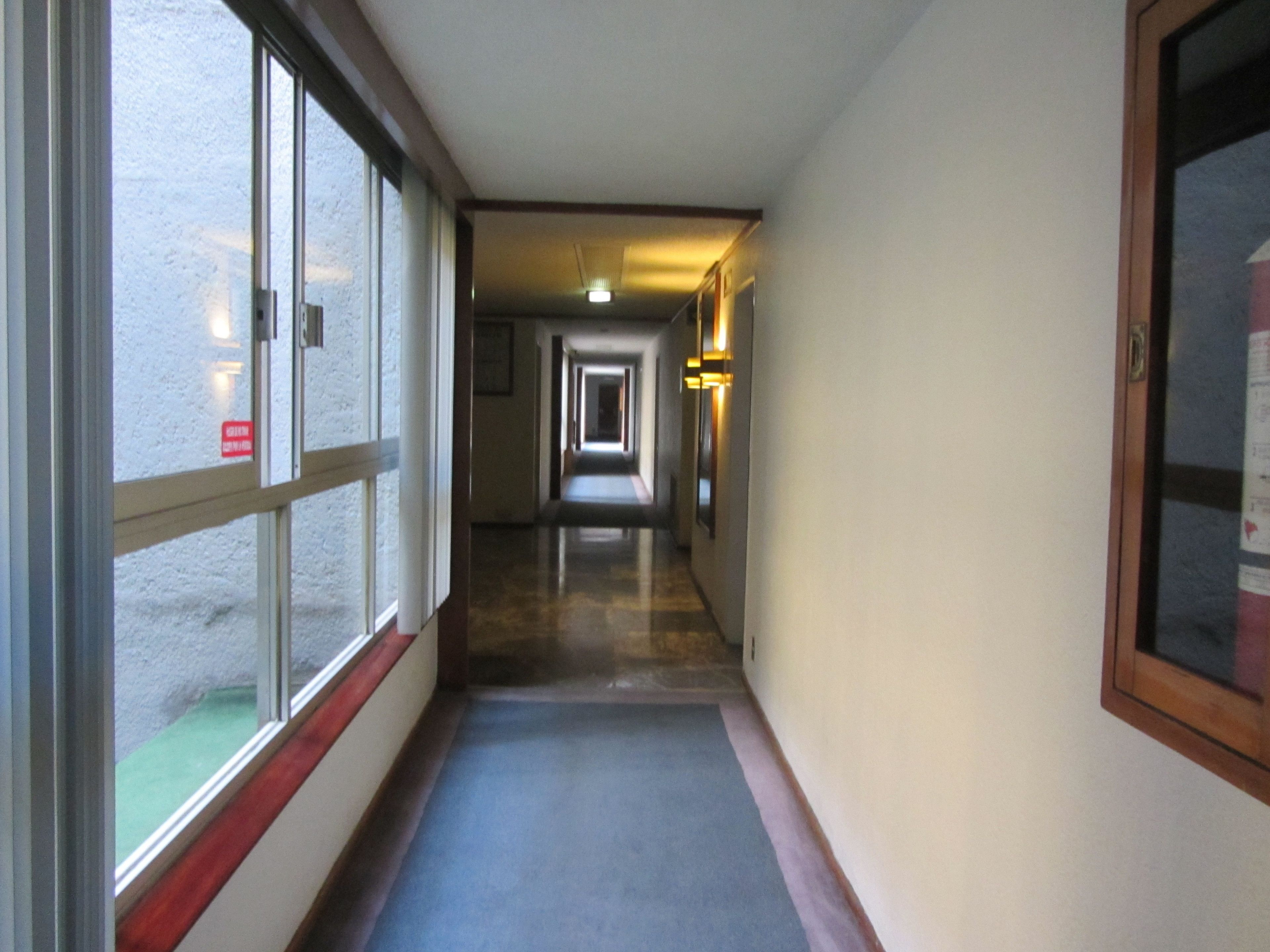 Un pasillo con piso alfombrado, molduras de madera y una ventana a la izquierda.