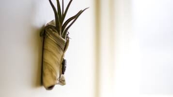 Una planta en maceta sobre una pared, una toalla en una silla y una ventana con luz natural.