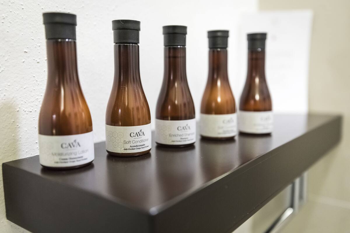 shower, rainfall showerhead, free toiletries, hair dryer