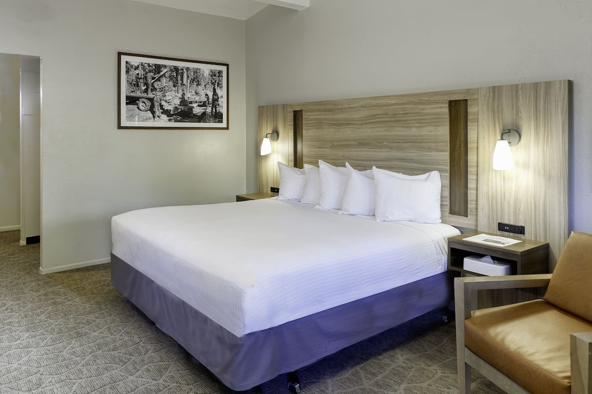 Habitación de hotel con una cama grande, dos mesitas de noche con lámparas, un cuadro en la pared y una silla.