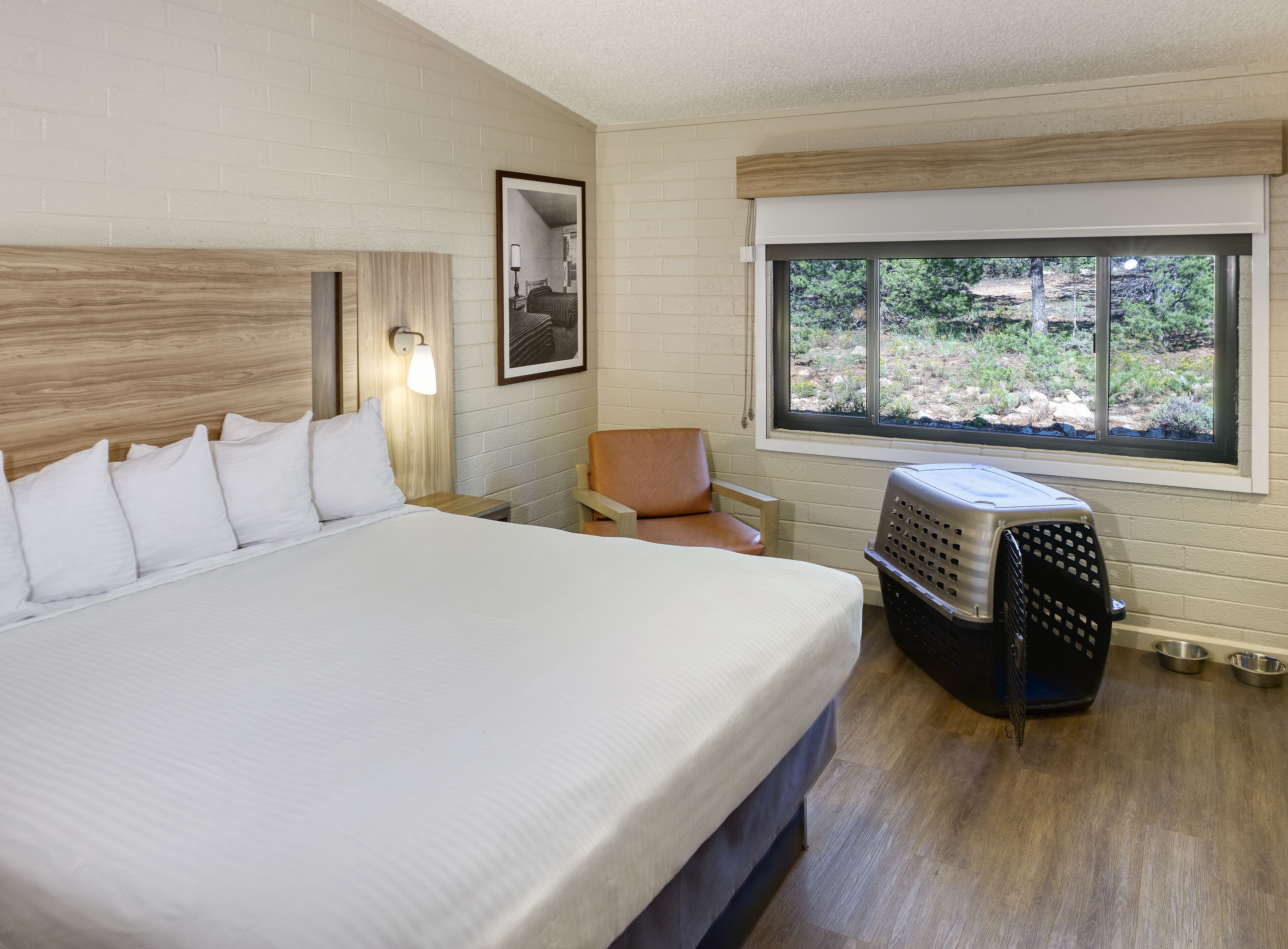 Une chambre d’hôtel avec un grand lit, une chaise, une cage de transport pour animaux et une fenêtre donnant sur un paysage verdoyant.