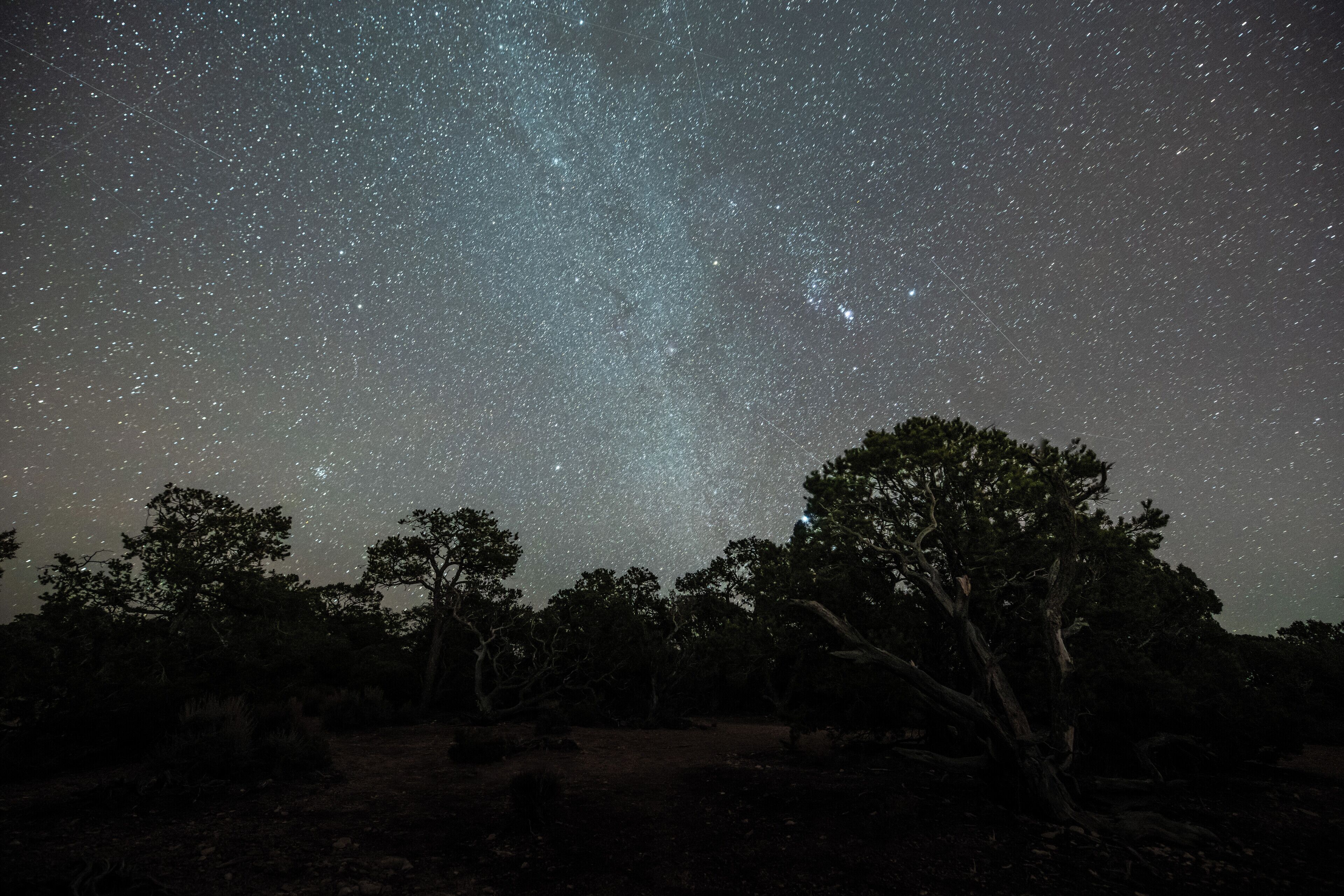 Un ciel étoilé avec une Voie lactée bien visible, des arbres et un sentier de terre.