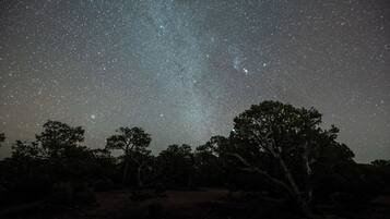 Un ciel étoilé avec une Voie lactée bien visible, des arbres et un sentier de terre.