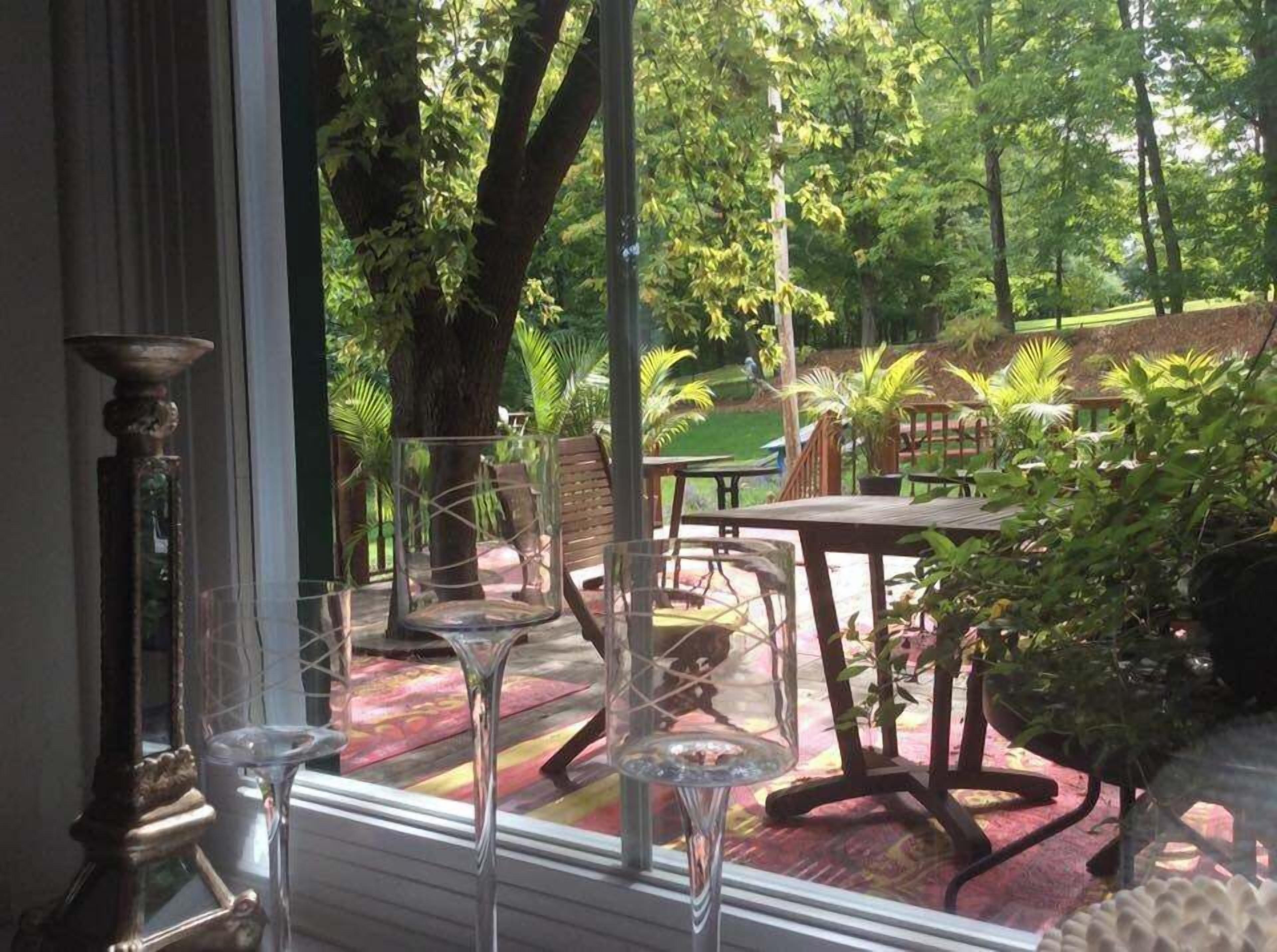An outdoor patio area with tables and chairs, surrounded by lush greenery and trees.