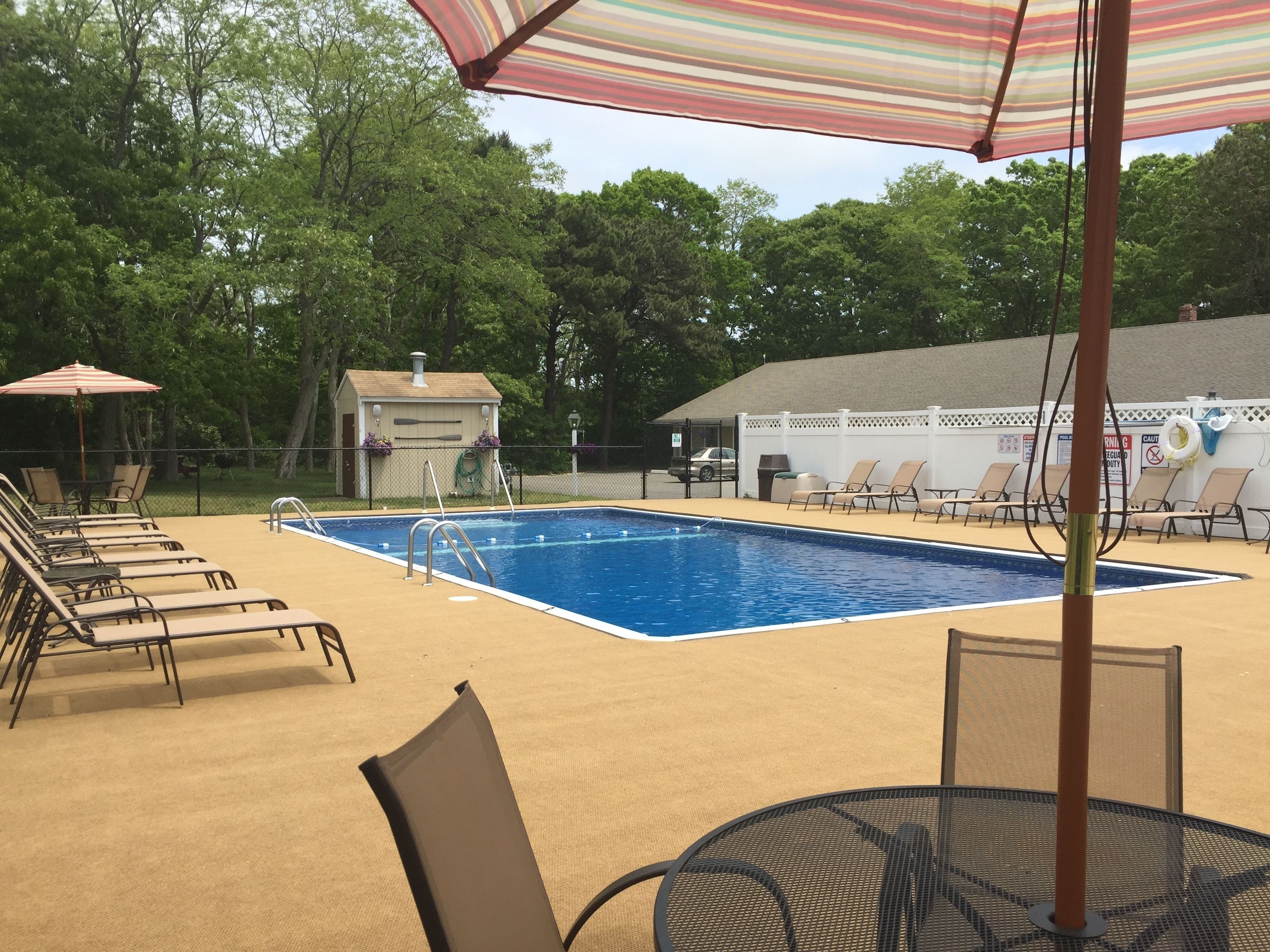 Une piscine avec des chaises longues et un espace abrité.