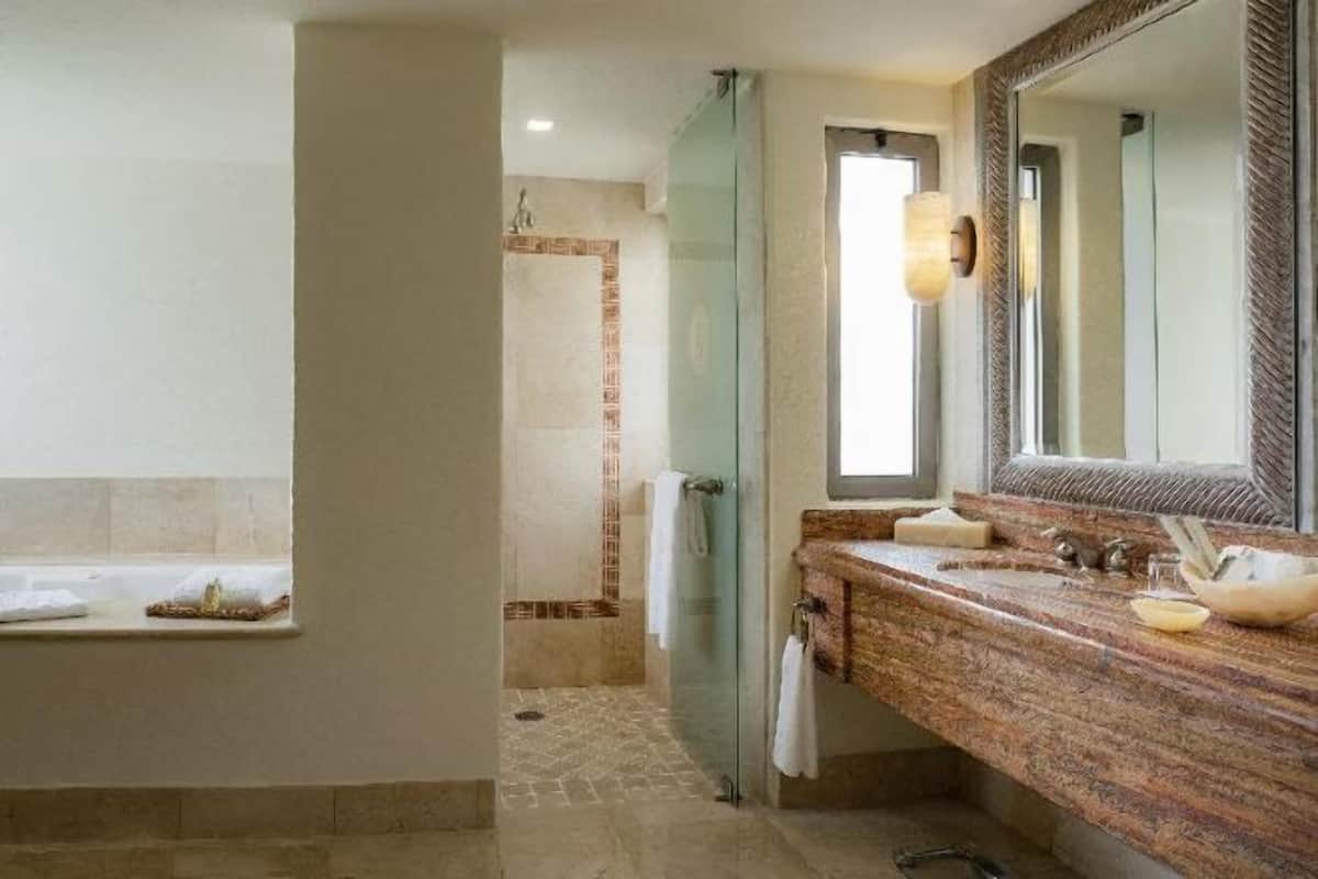 Baño | Tina y regadera independientes y tina de hidromasaje