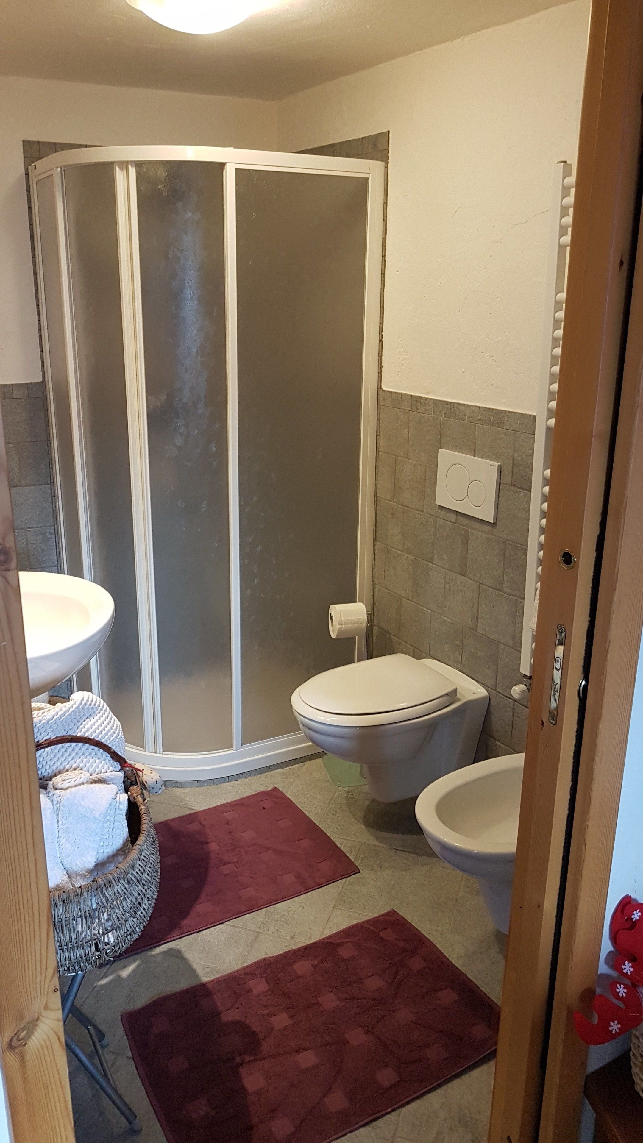 Een badkamer met douchecabine, twee toiletten, een wastafel en een rode vloerkleed.