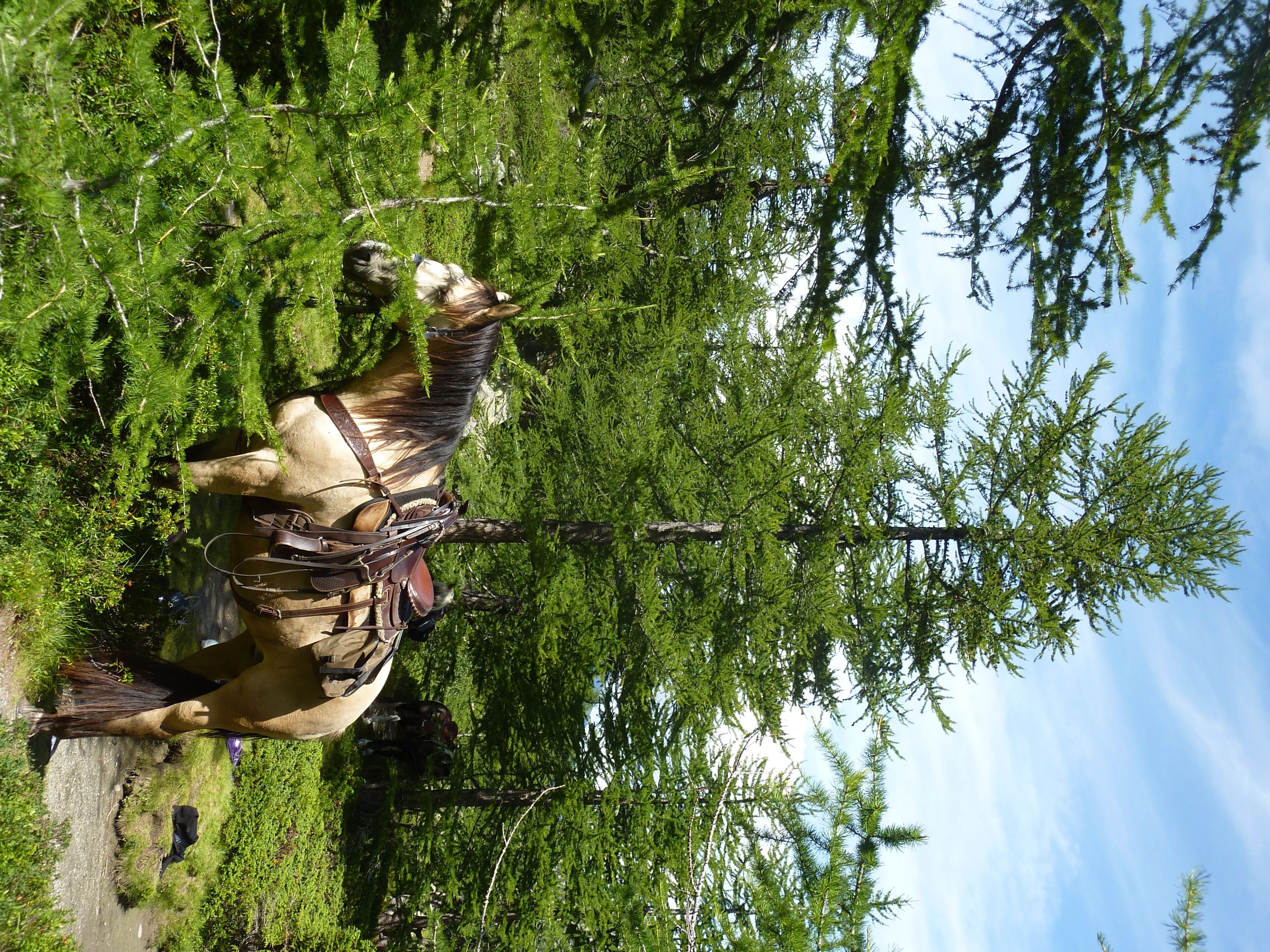 Foto - Maison Du-Noyer Chambres et Tables d'Hotes