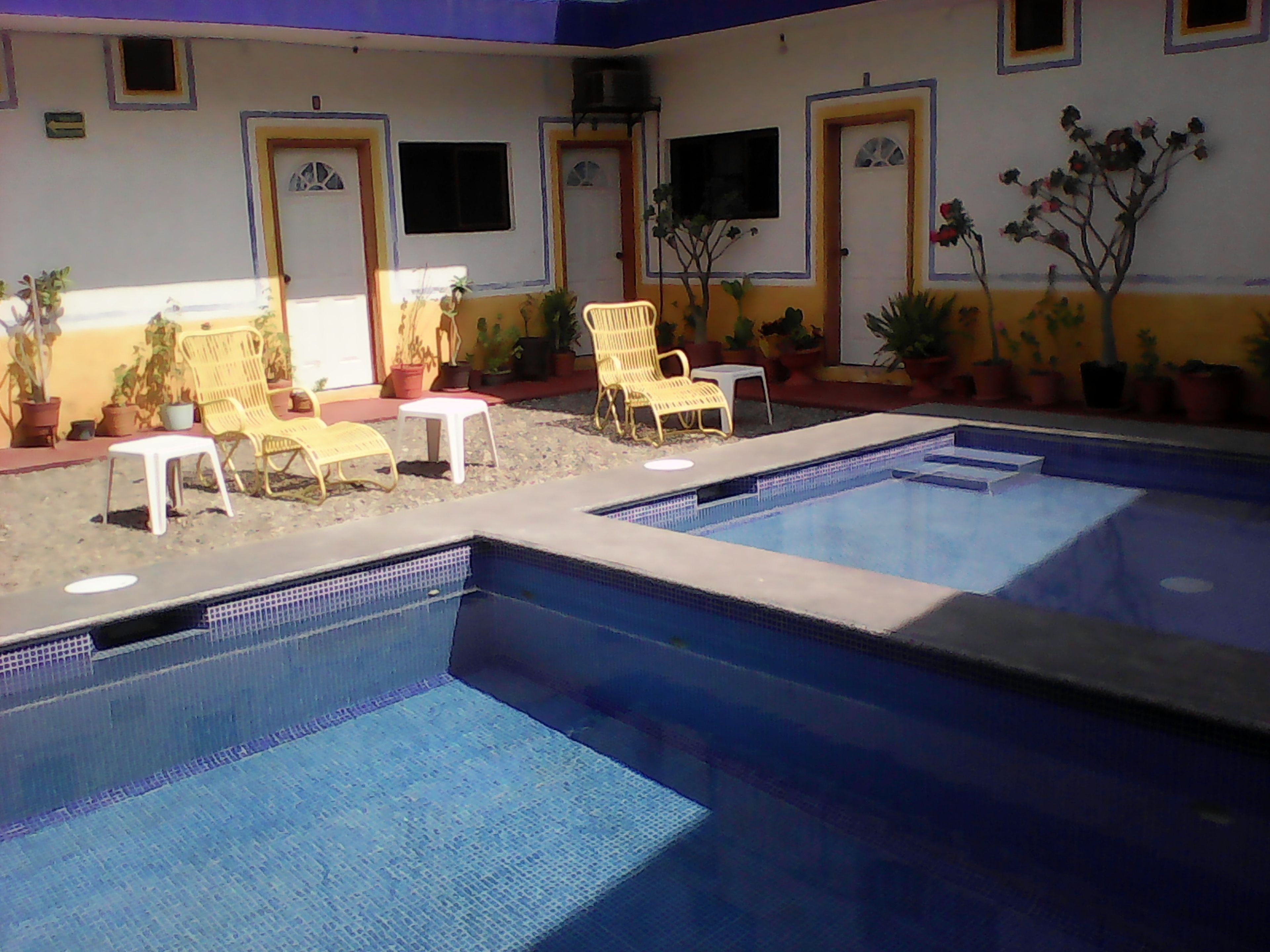 Outdoor pool, open 9:00 AM to 8:00 PM, pool umbrellas, pool loungers